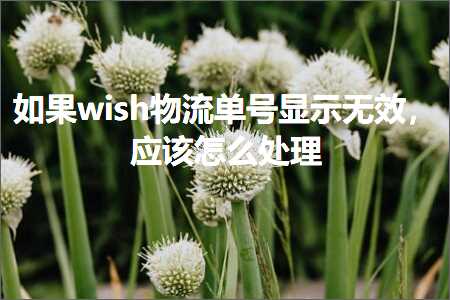 跨境电商知识:如果wish物流单号显示无效，应该怎么处理